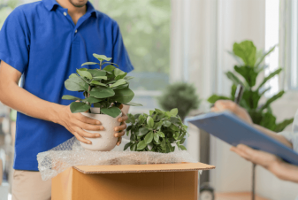 Comment déménager des plantes ?
